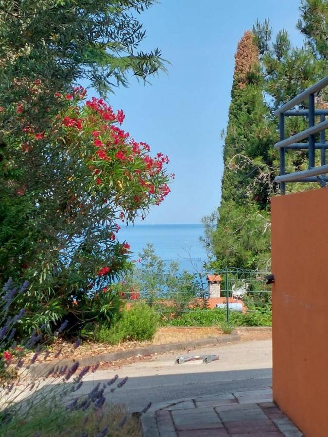 Apartments Henc Novigrad Istria Eksteriør billede