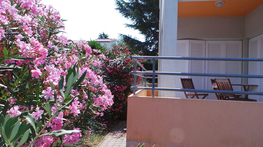 Apartments Henc Novigrad Istria Værelse billede
