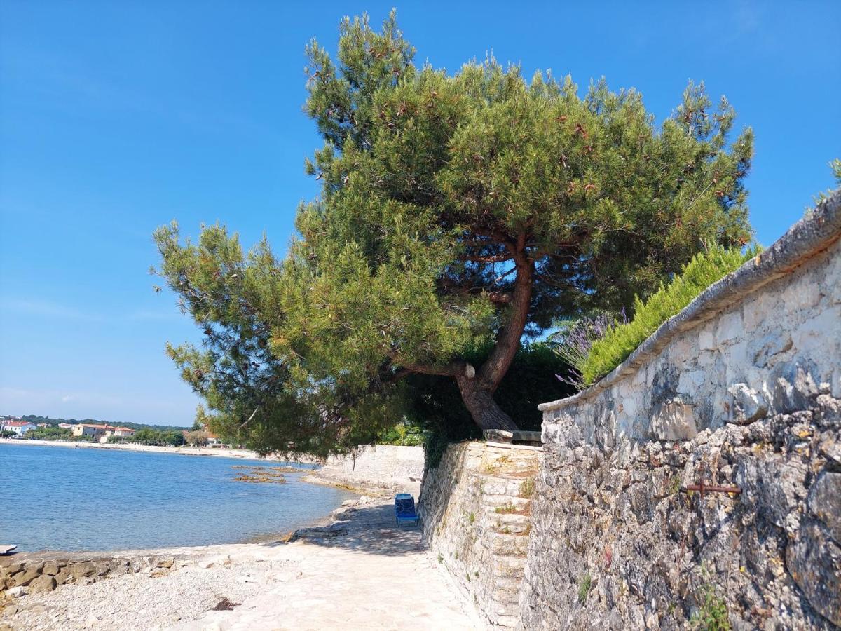 Apartments Henc Novigrad Istria Eksteriør billede