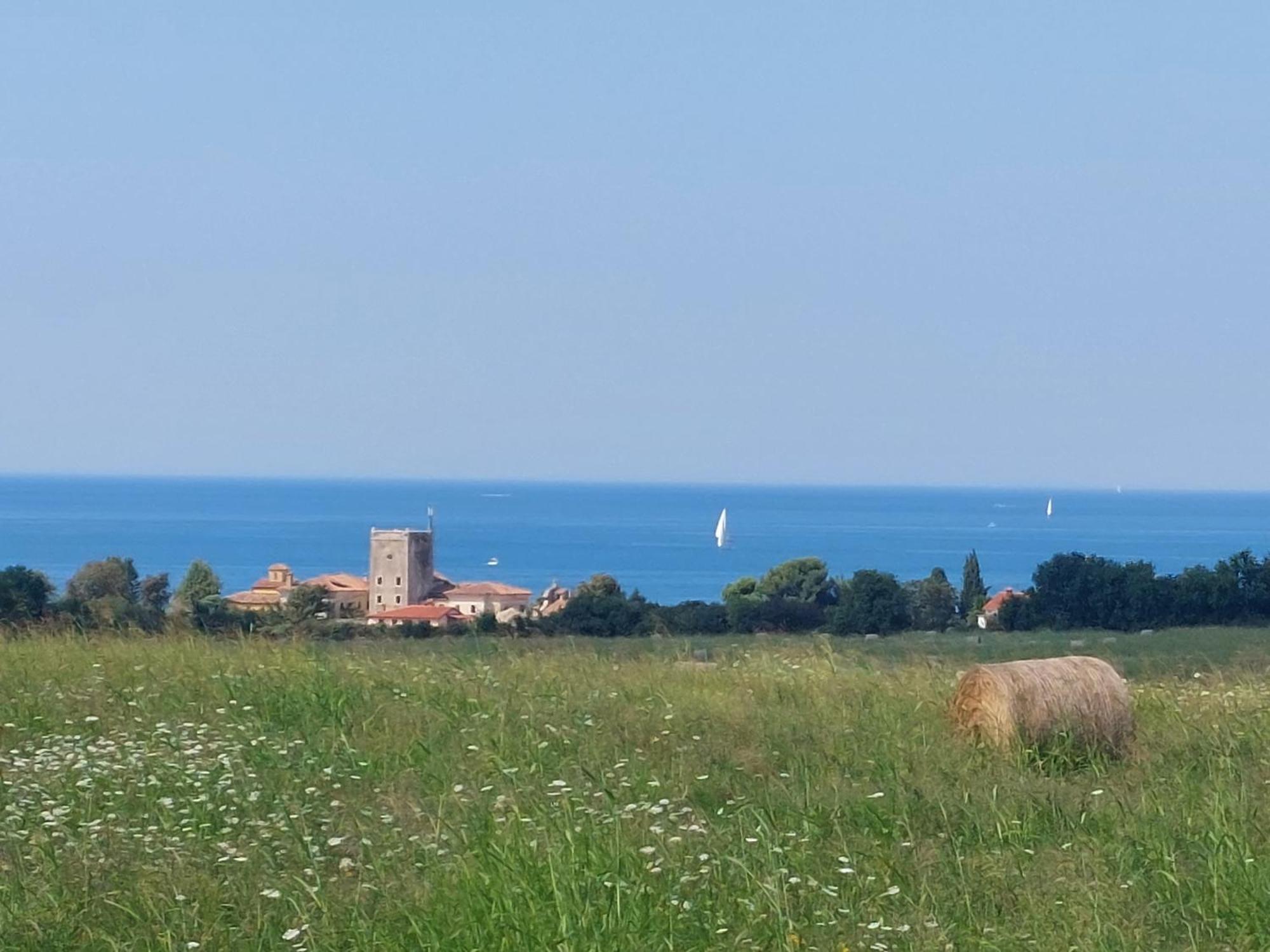 Apartments Henc Novigrad Istria Eksteriør billede